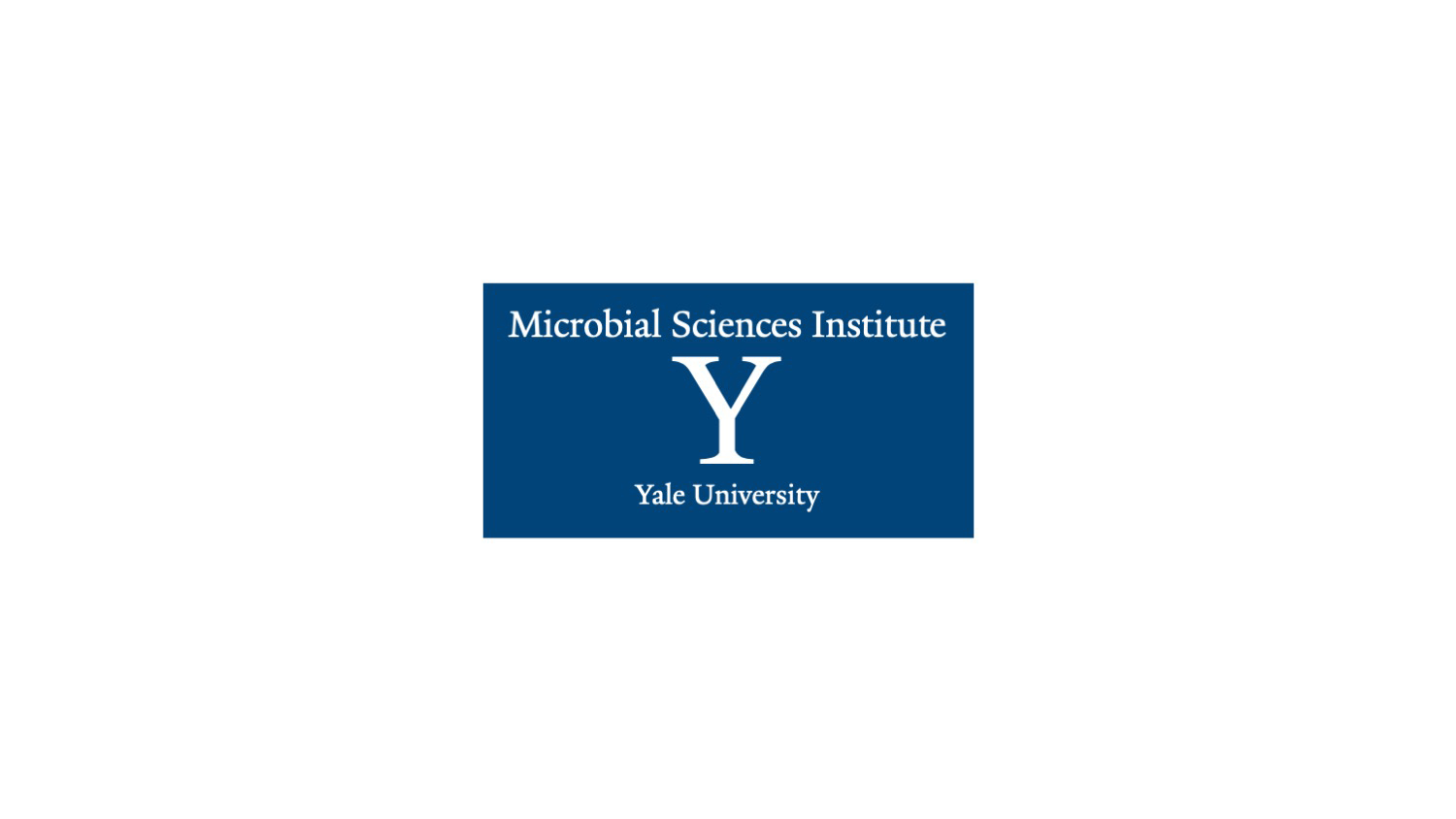 Yale MSI