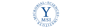 Yale MSI