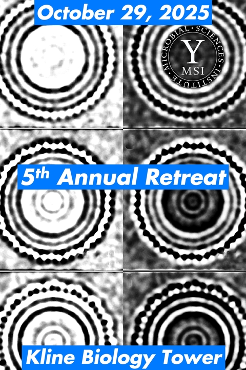 MSI Retreat Flyer 2025