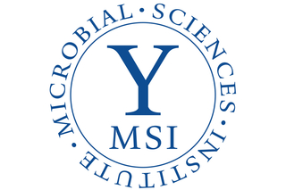 MSI