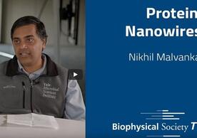 Malvankar Interview Biophysical Society TV