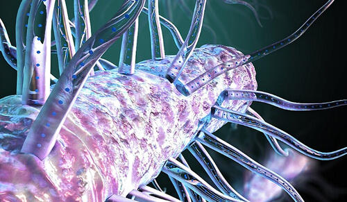 Bacterial hairs power nature’s electric grid. (Image credit: Ella Maru Studio)
